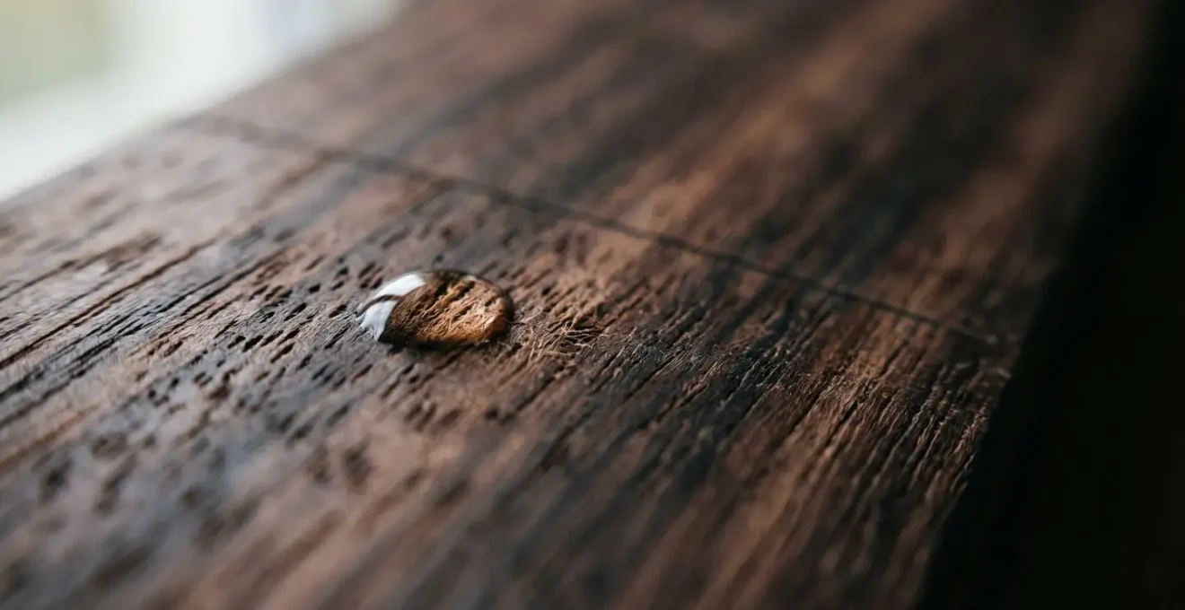 Macro close-up of guitar fretboard wood grain showing natural texture and pores