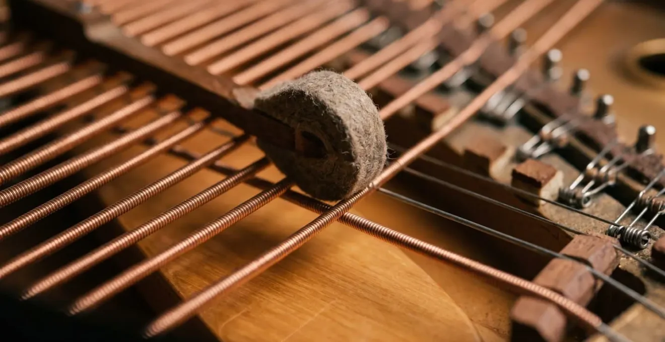 Close detail of piano keys and strings showing singular sonic texture